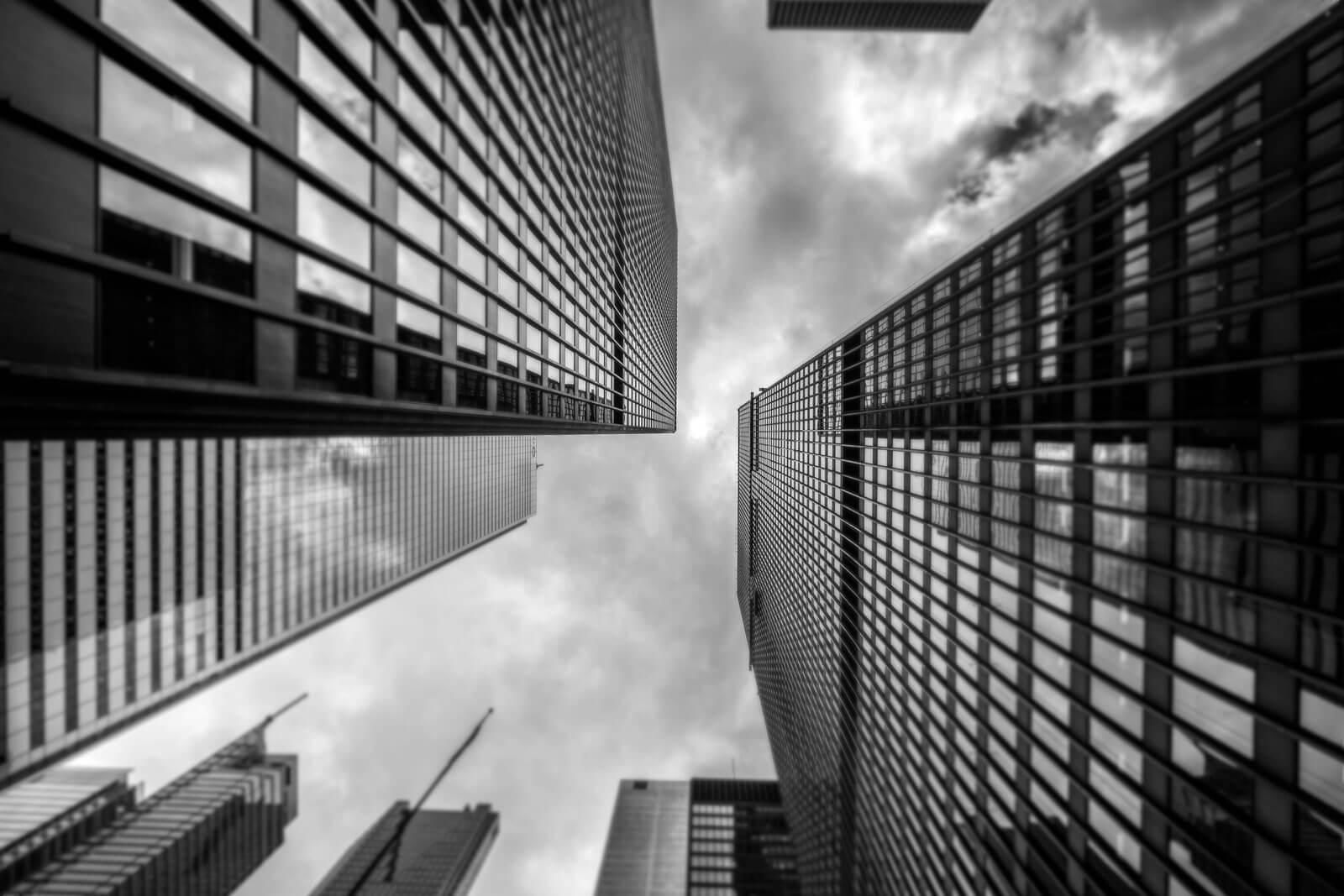 Odoo • Texto e imagen